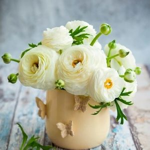 Meet your Posher, Olga